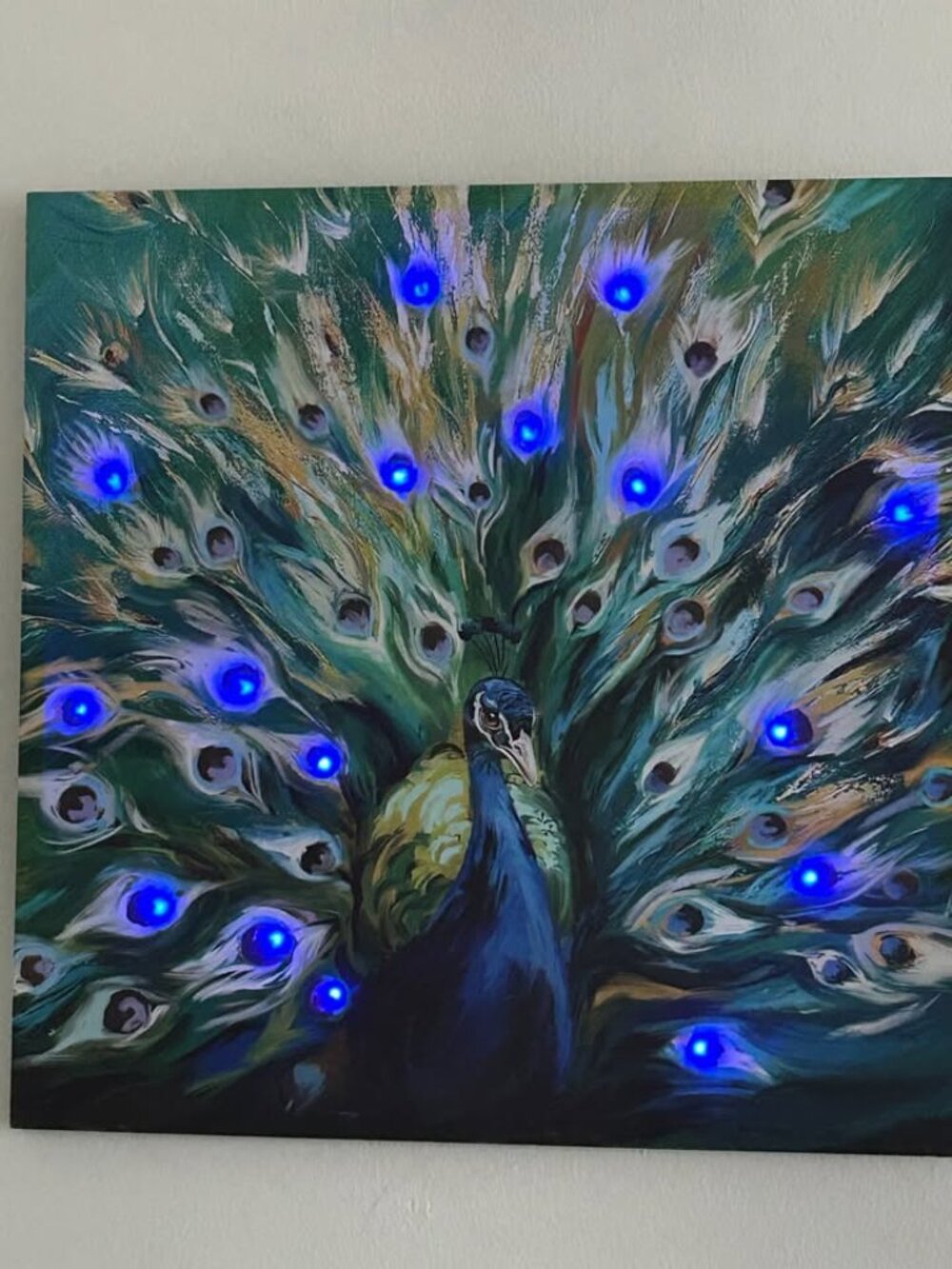 LED Lighted Peacock Framed Canvas 24x24 NEW Battery Operated